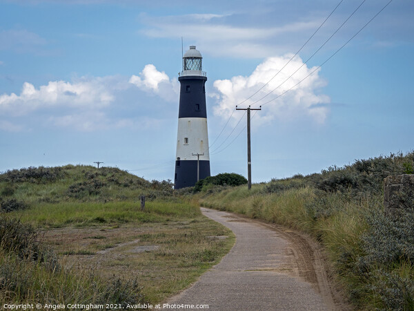 Lighthouse at Spurn Point Picture Board by Angela Cottingham