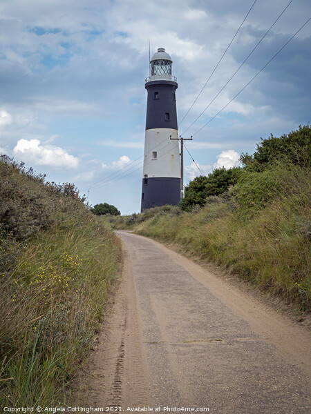Spurn Point Lighthouse Picture Board by Angela Cottingham