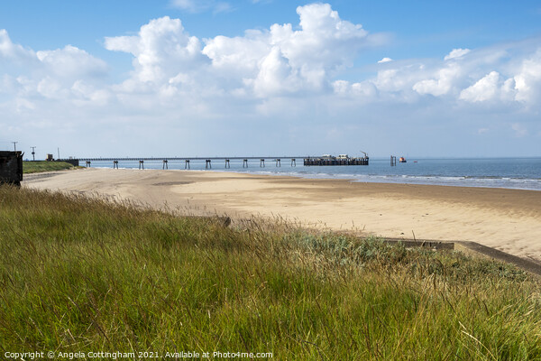 Sandy beach and jetty at Spurn Point Picture Board by Angela Cottingham