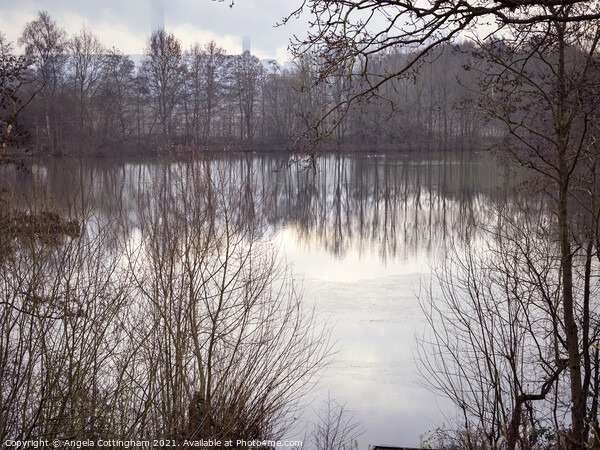 Reflection at Barlow Mere Picture Board by Angela Cottingham