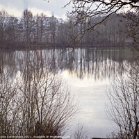 Buy canvas prints of Reflection at Barlow Mere by Angela Cottingham