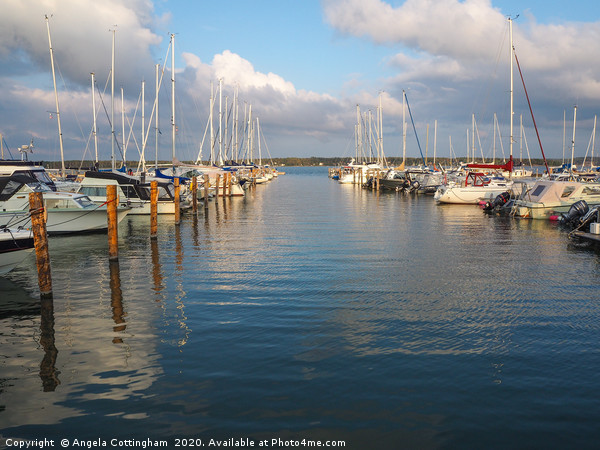 Sailing Boats in Mariehamn Harbour, Aland Picture Board by Angela Cottingham