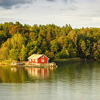Buy canvas prints of Autumn in the Turku Archipelago by Angela Cottingham
