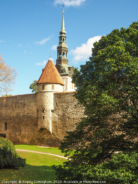 Towers in Tallinn Picture Board by Angela Cottingham