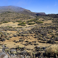 Buy canvas prints of Landscape in the Teide National Park, Tenerife by Angela Cottingham