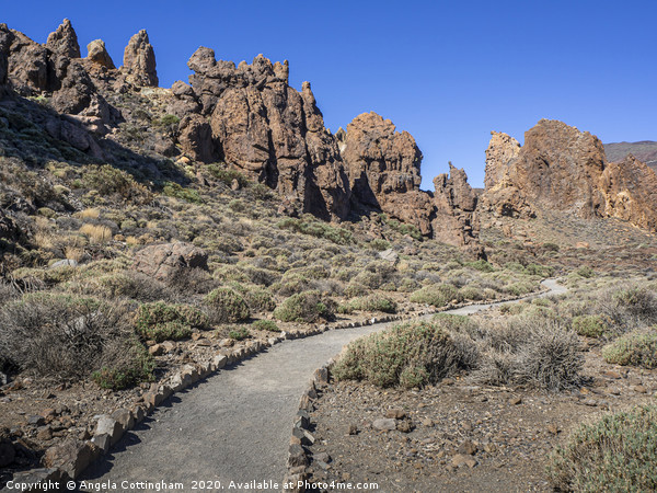 Trail at Roques de Garcia, Tenerife Picture Board by Angela Cottingham