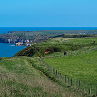 Buy canvas prints of Bempton Cliffs by Angela Cottingham