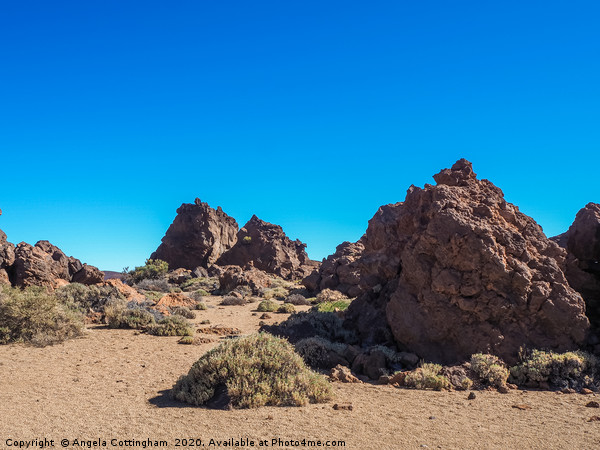 Teide National Park Picture Board by Angela Cottingham