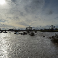 Buy canvas prints of Flooded River Ouse by Angela Cottingham