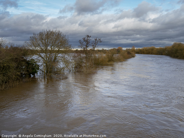 Flooding River Ouse Picture Board by Angela Cottingham