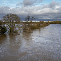 Buy canvas prints of Flooding River Ouse by Angela Cottingham