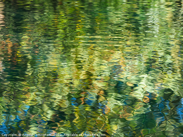 Reflections in a pond Picture Board by Angela Cottingham