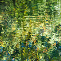 Buy canvas prints of Reflections in a pond by Angela Cottingham