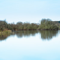 Buy canvas prints of Calm Day at Wheldrake Ings by Angela Cottingham