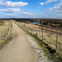 Buy canvas prints of Fairburn Ings by Angela Cottingham