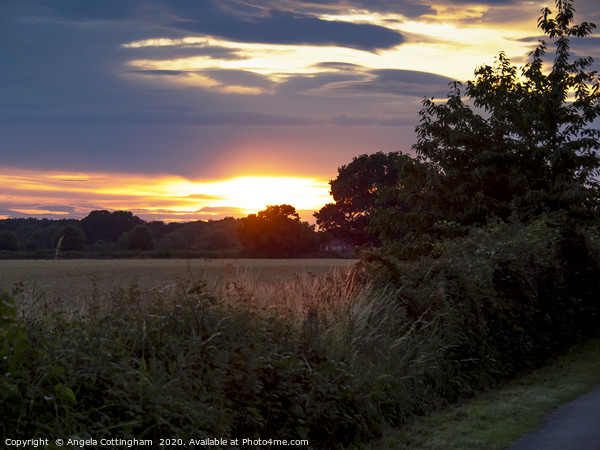 Sunset Over the Fields Picture Board by Angela Cottingham