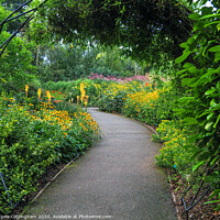 Buy canvas prints of Garden Path by Angela Cottingham