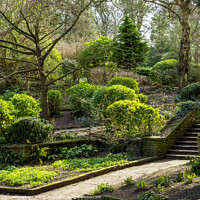 Buy canvas prints of Gardens in Peasholm Park, Scarborough by Angela Cottingham
