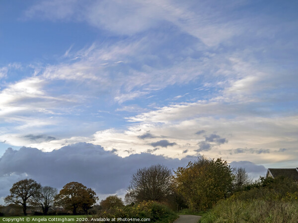 Beautiful Sky over Bishopthorpe Picture Board by Angela Cottingham