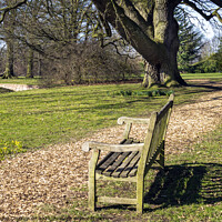 Buy canvas prints of Park Bench by Angela Cottingham