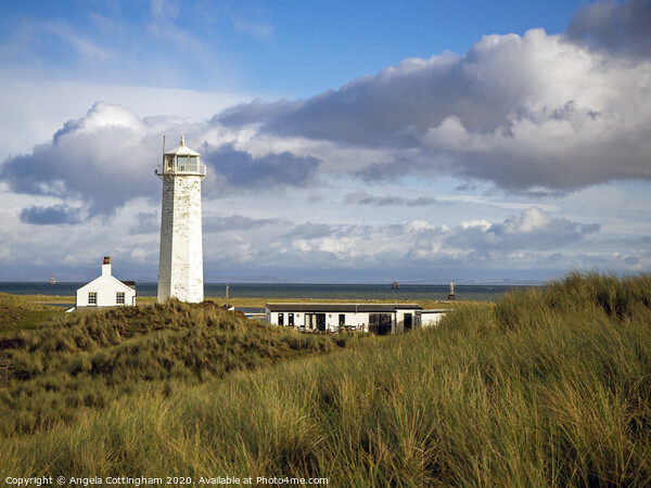 Lighthouse on Walney Island Picture Board by Angela Cottingham