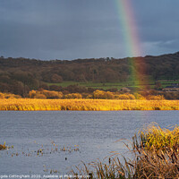 Buy canvas prints of Rainbow at Leighton Moss by Angela Cottingham