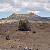 Buy canvas prints of Volcanic Bomb by Angela Cottingham