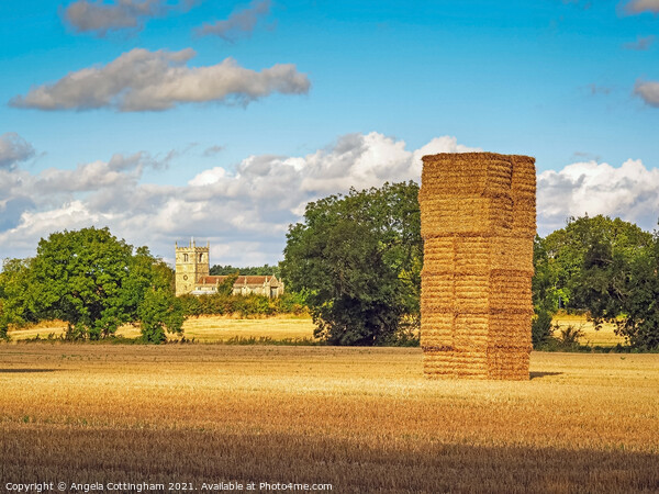 Tall Haystack at Skipwith Picture Board by Angela Cottingham