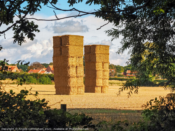 Two Tall Haystacks Picture Board by Angela Cottingham