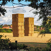 Buy canvas prints of Two Tall Haystacks by Angela Cottingham