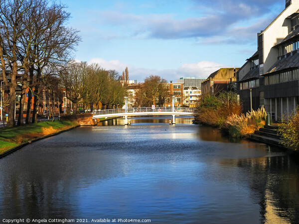Bridge and canal in Leiden, the Netherlands Picture Board by Angela Cottingham