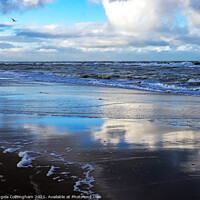 Buy canvas prints of Reflections on Noordwijk Beach by Angela Cottingham