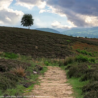 Buy canvas prints of Path onto the Moor by Angela Cottingham