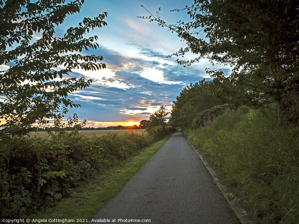 Path Towards the Sunset Picture Board by Angela Cottingham