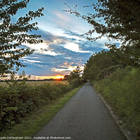 Buy canvas prints of Path Towards the Sunset by Angela Cottingham