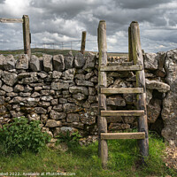 Buy canvas prints of Ladder Stile over Dry Stone Wall in Yorkshire Dales with Finger Post by Lewis Gabell