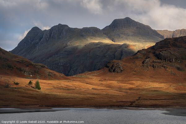 Morning light on the Langdale Pikes - Lake District National Park Picture Board by Lewis Gabell