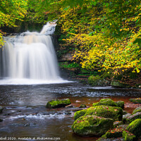 Buy canvas prints of Autumn at Cauldron Falls Waterfall, West Burton by Lewis Gabell