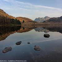 Buy canvas prints of Reflections of Langdale Pikes from Blea Tarn, Lake by Lewis Gabell