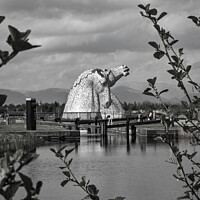 Buy canvas prints of Kelpies in Black and white  by Aimie Burley