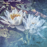 Buy canvas prints of Delicate Beauty by Aimie Burley