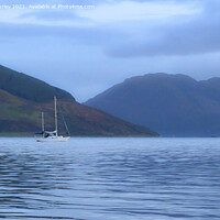 Buy canvas prints of Early Morning sail by Aimie Burley