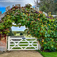 Buy canvas prints of Leafy arch  by Aimie Burley