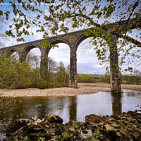 Buy canvas prints of Northumberland viaduct  by Aimie Burley