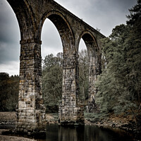 Buy canvas prints of Lambley, Northumberland by Aimie Burley