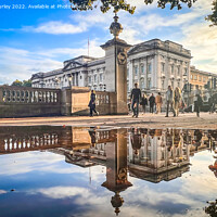 Buy canvas prints of A Regal Reflection by Aimie Burley
