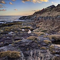 Buy canvas prints of Craster Northumberland by Aimie Burley