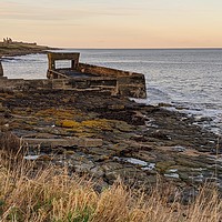 Buy canvas prints of Dunstanburgh Castle from Craster by Aimie Burley