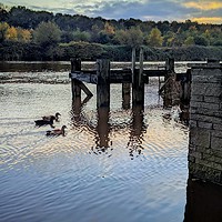 Buy canvas prints of The Wansbeck by Aimie Burley