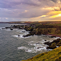 Buy canvas prints of St Abbs, Berwickshire by Aimie Burley